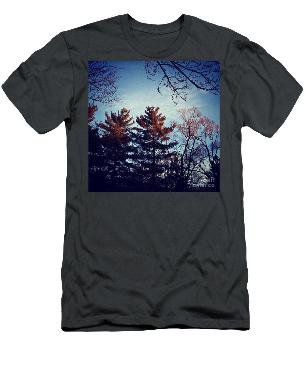Nature T-Shirt featuring the photograph Light of Holiness by Frank J Casella