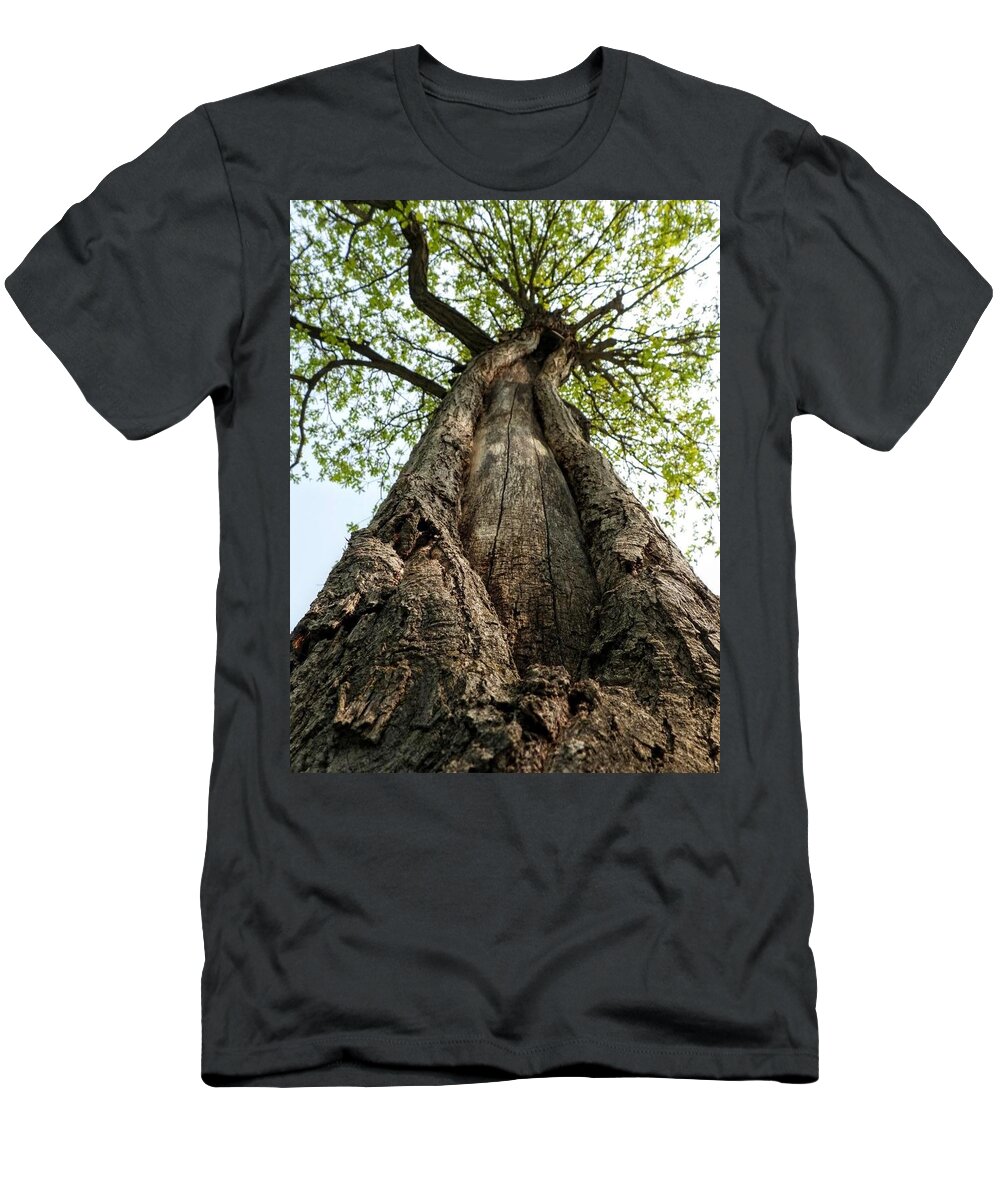 Tree T-Shirt featuring the photograph Portrait of a Tree by Amanda R Wright