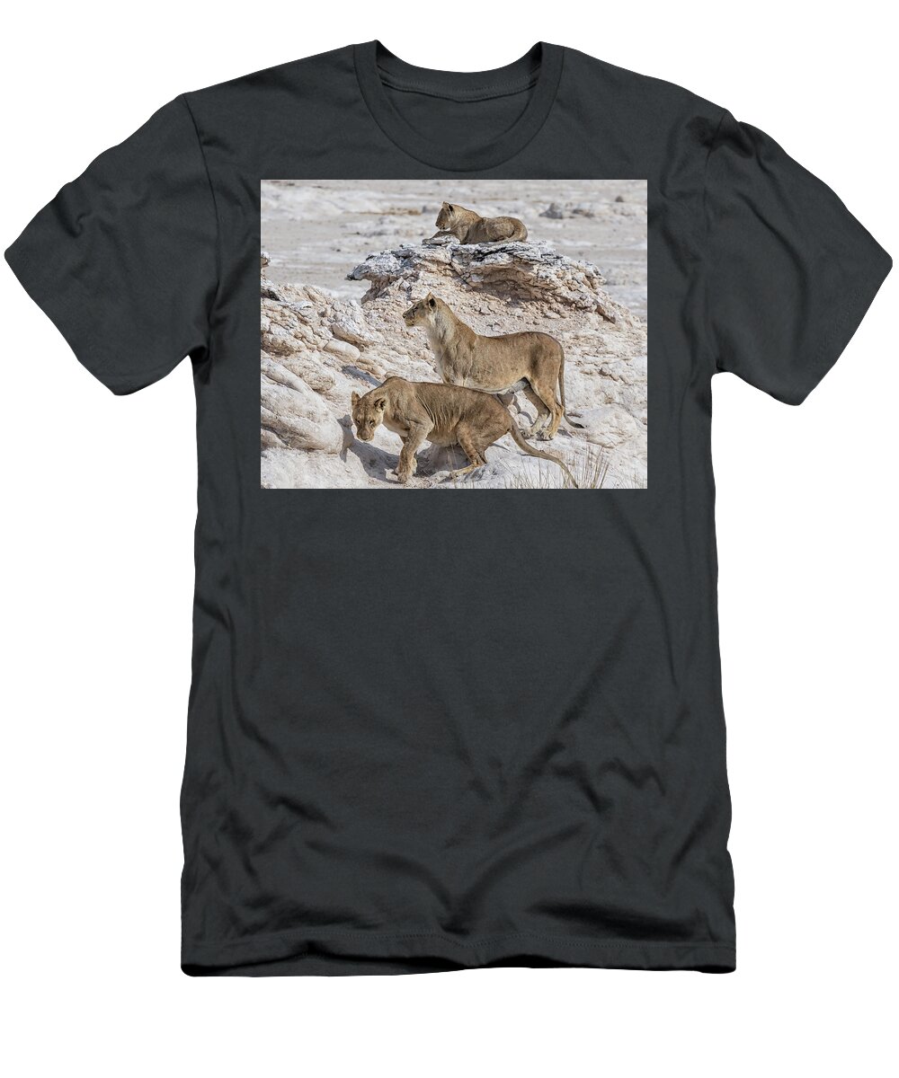 Lion T-Shirt featuring the photograph Lions Watching Prey, No. 2 by Belinda Greb
