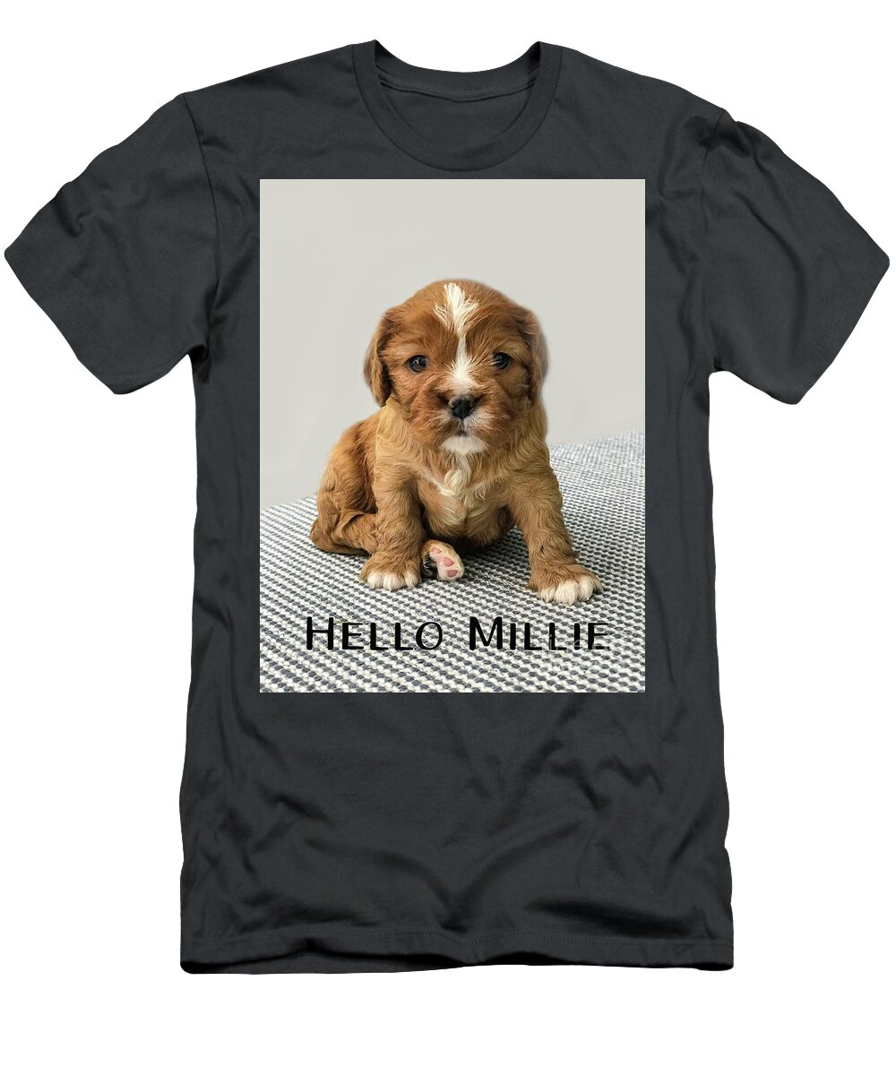 Cavalier T-Shirt featuring the photograph Little Miss Millie by Marilyn Cornwell