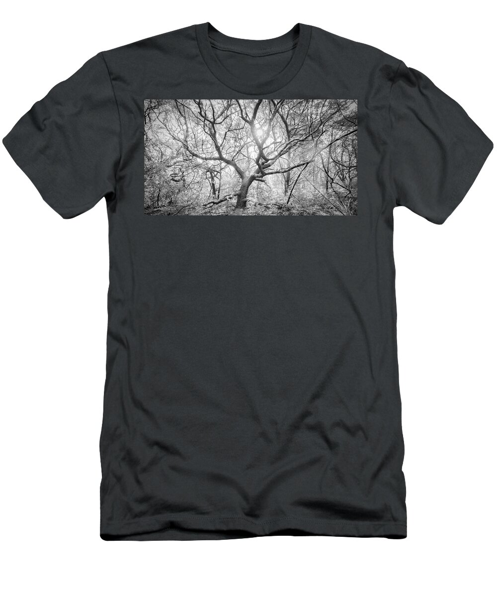 Live Oak T-Shirt featuring the photograph Live Oak Tree in the Forest Clearing - Atlantic Beach North Carolina by Bob Decker