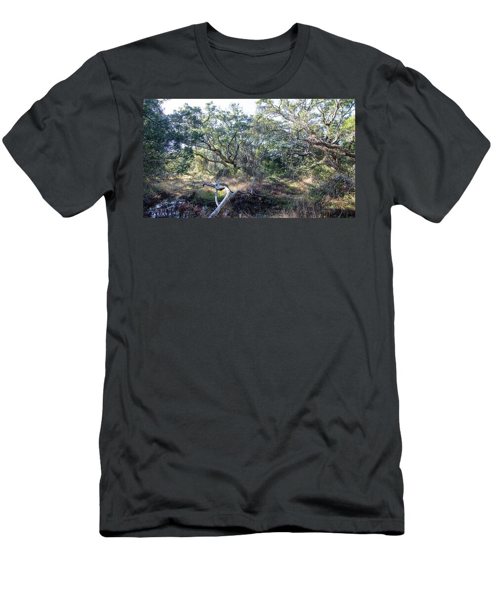 Live Oak T-Shirt featuring the photograph Live Oak Tree Maritime Forest at Atlantic Beach North Carolina by Bob Decker