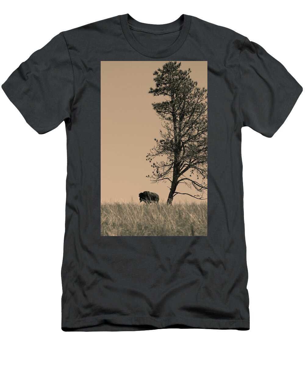Bison T-Shirt featuring the photograph Lone Bison by Larry Bohlin