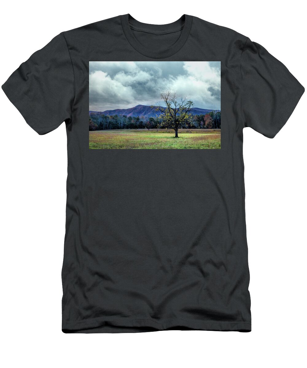 Smokies T-Shirt featuring the photograph Lone Tree at Cades Cove Townsend Tennessee by Debra and Dave Vanderlaan