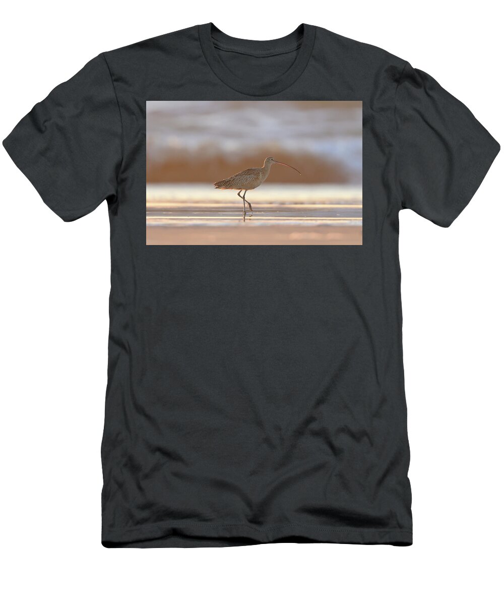 Long-billed Curlew T-Shirt featuring the photograph Long-billed Curlew walking on the Beach by Amazing Action Photo Video