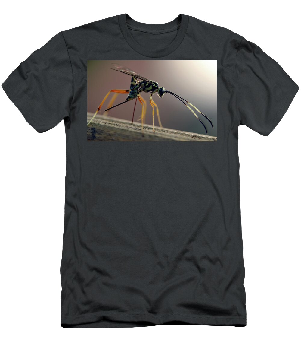 Insects T-Shirt featuring the photograph Long Legged Alien by Jennifer Robin