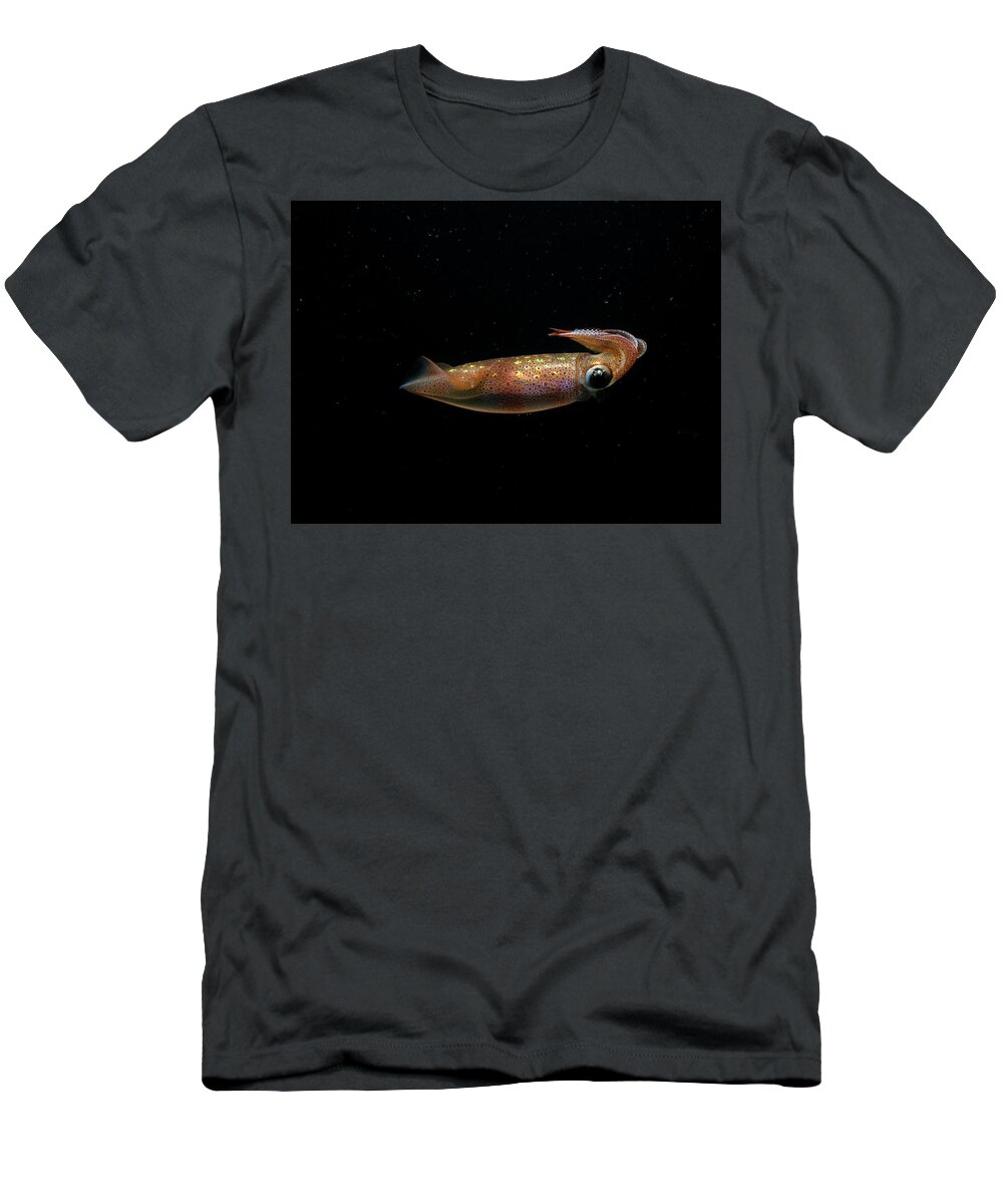 Squid T-Shirt featuring the photograph Longfin Squid in the water column by Brian Weber