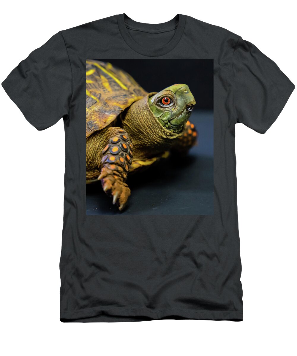 Turtle T-Shirt featuring the photograph Look Into My Eye by Toni Hopper