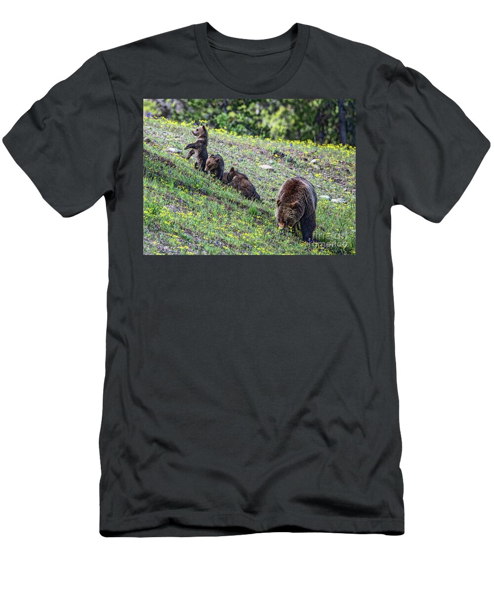 Bears T-Shirt featuring the photograph Lookin Out by Larry Young