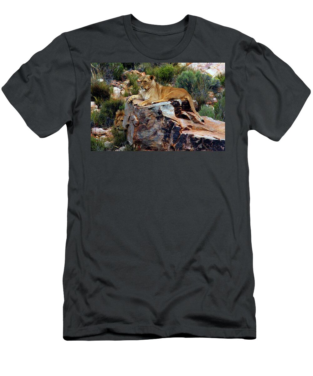 Lions T-Shirt featuring the photograph Looking for Prey by Carol Neal-Chicago