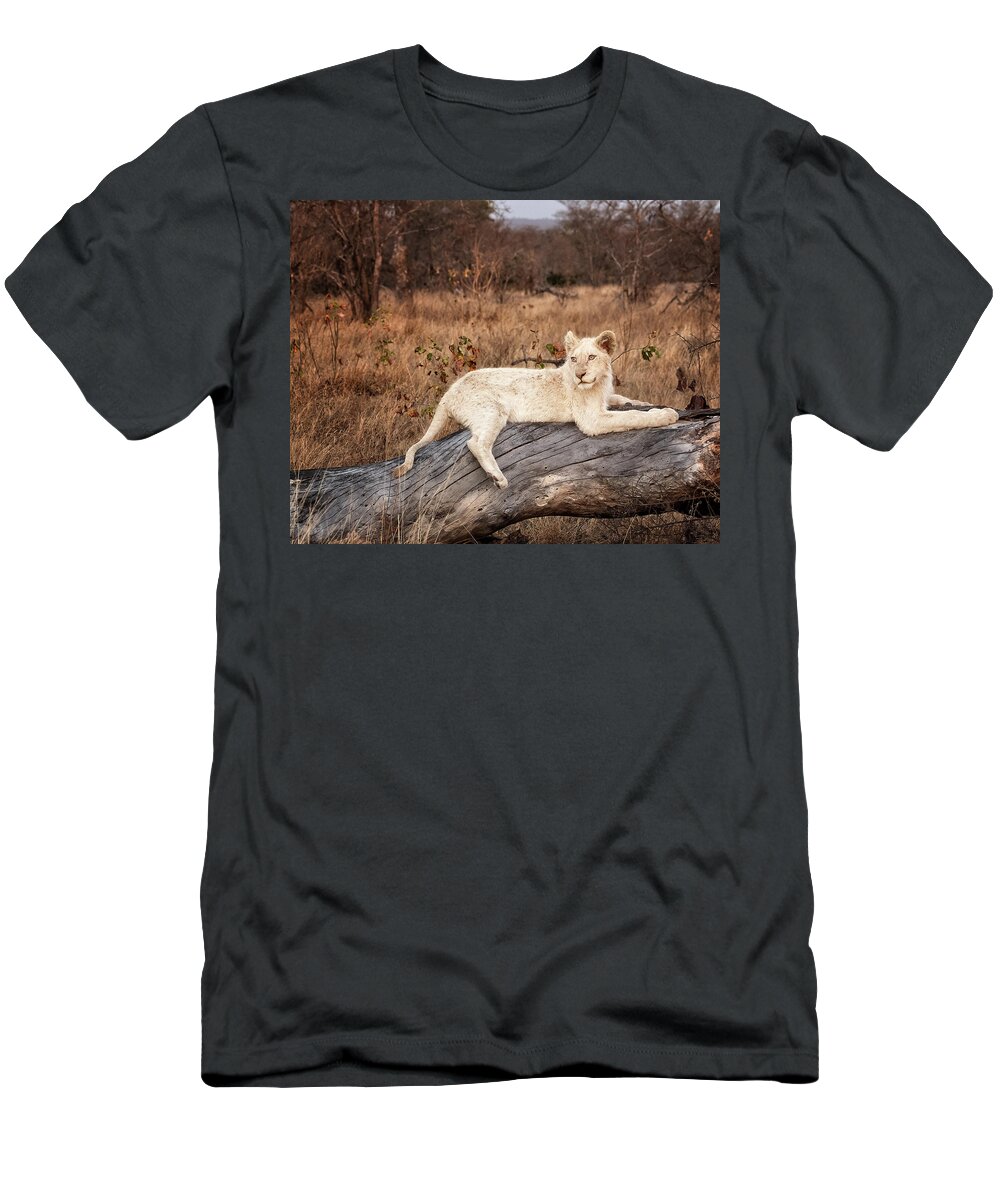 Strahl T-Shirt featuring the photograph Looking Back at Sunset by Cheryl Strahl
