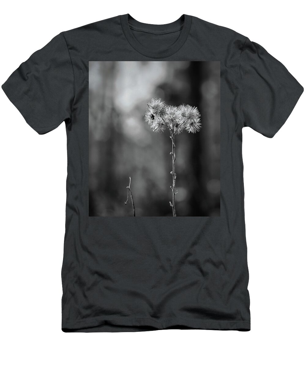 Monochrome T-Shirt featuring the photograph Looking Up by Randall Allen