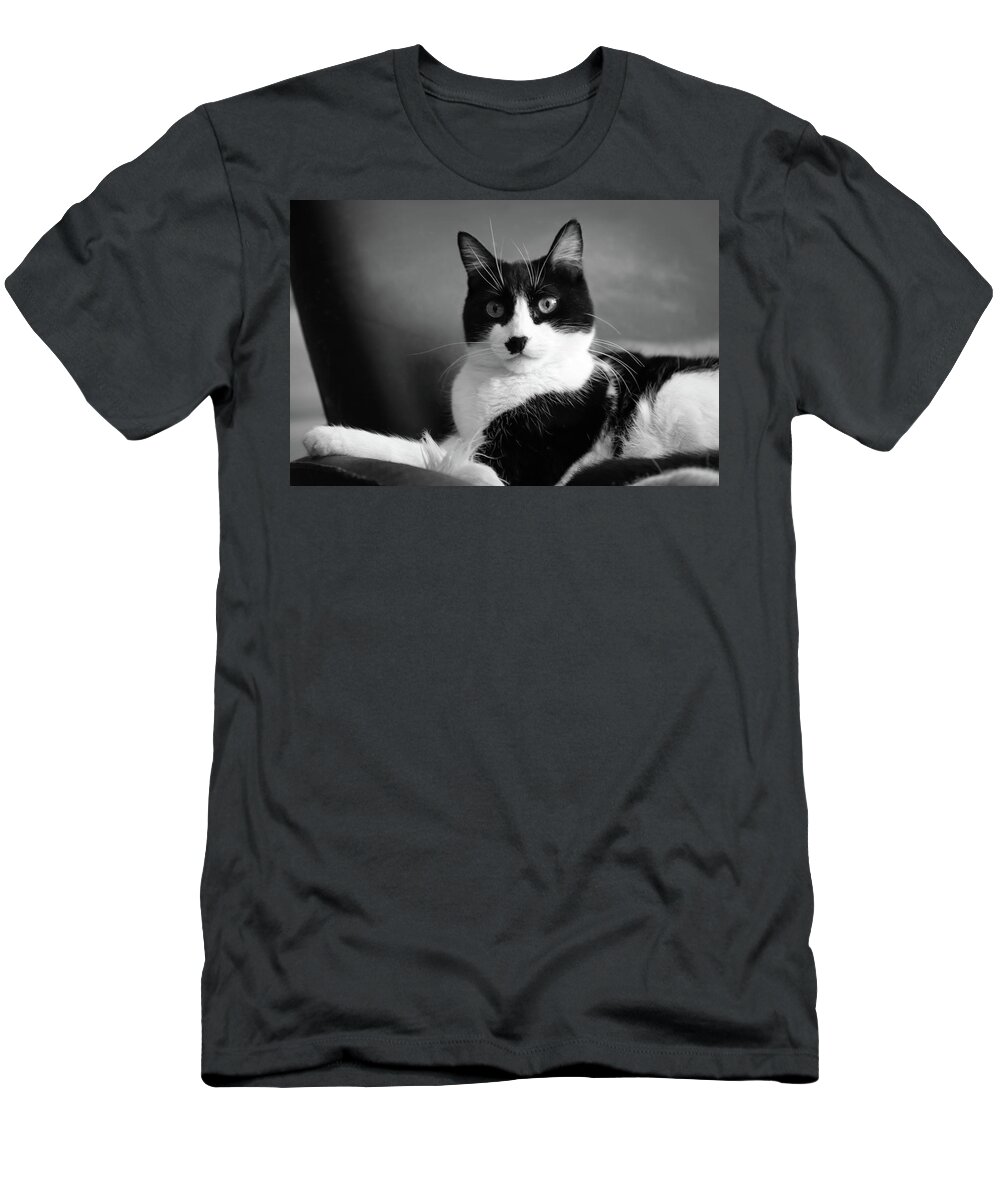 Cat T-Shirt featuring the photograph Lord of the Manor bw by Bonnie Follett