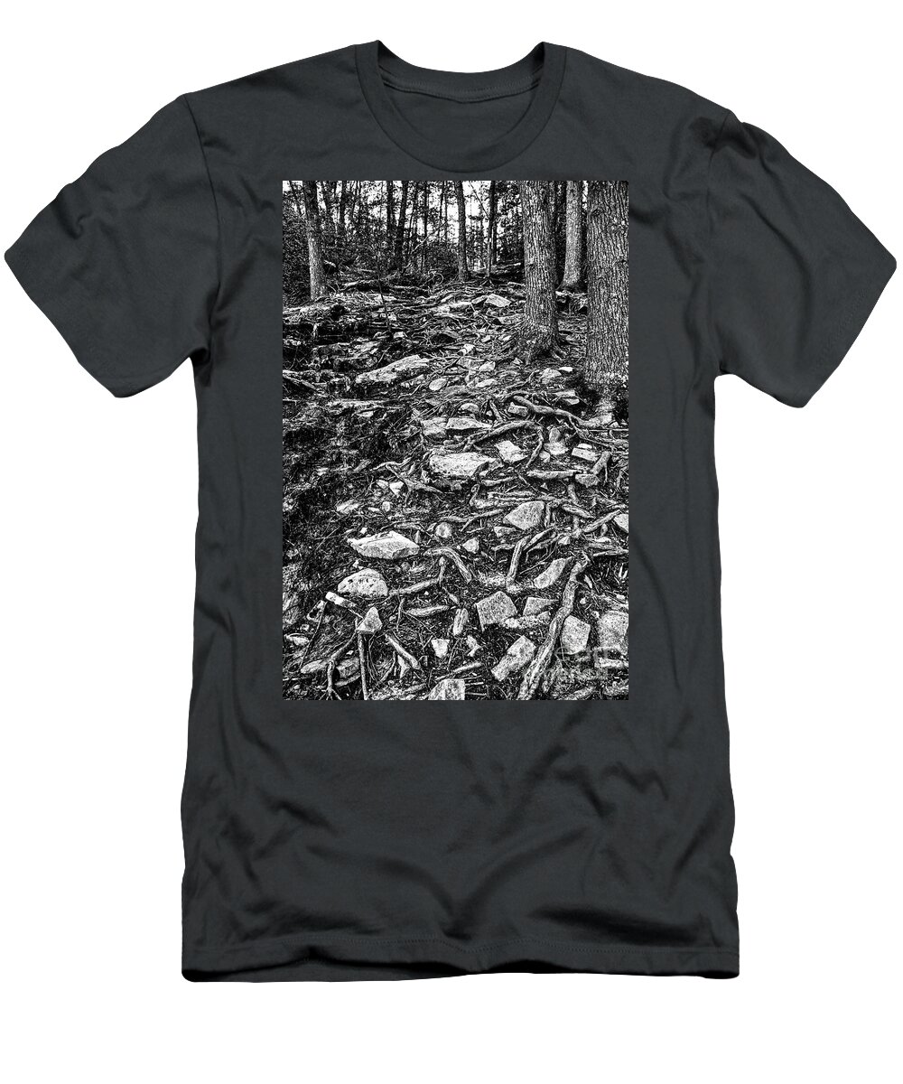 Greeter Falls T-Shirt featuring the photograph Lower Greeter Falls 2 by Phil Perkins