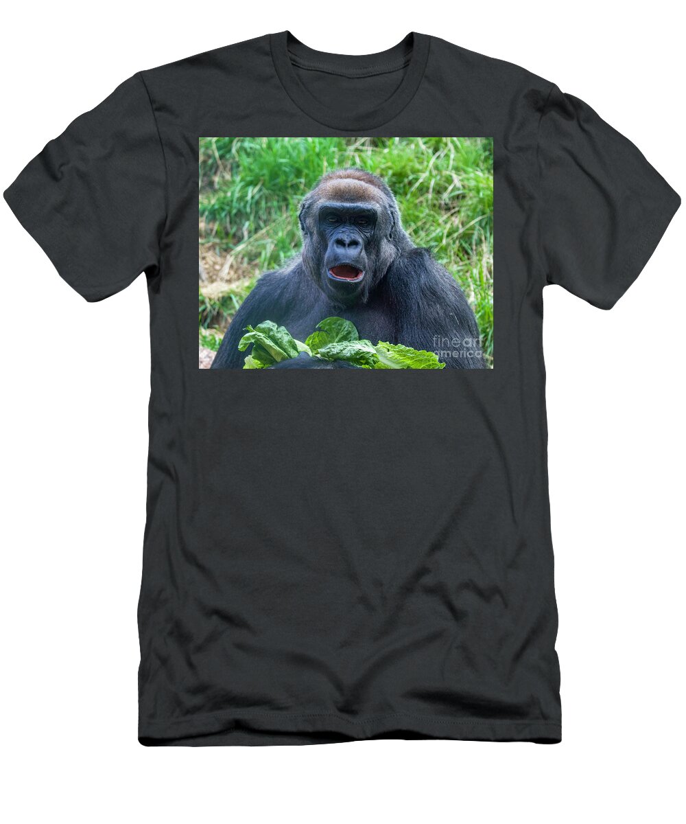 Western Lowland Gorilla T-Shirt featuring the photograph Lowland Gorilla by Shirley Dutchkowski