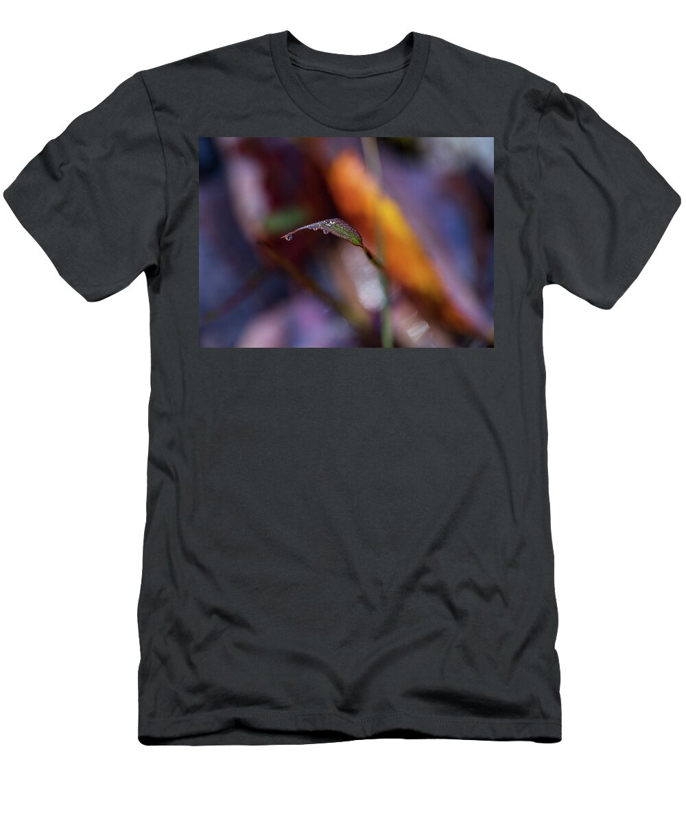 Fall T-Shirt featuring the photograph Macro Photography - Fall Foliage by Amelia Pearn