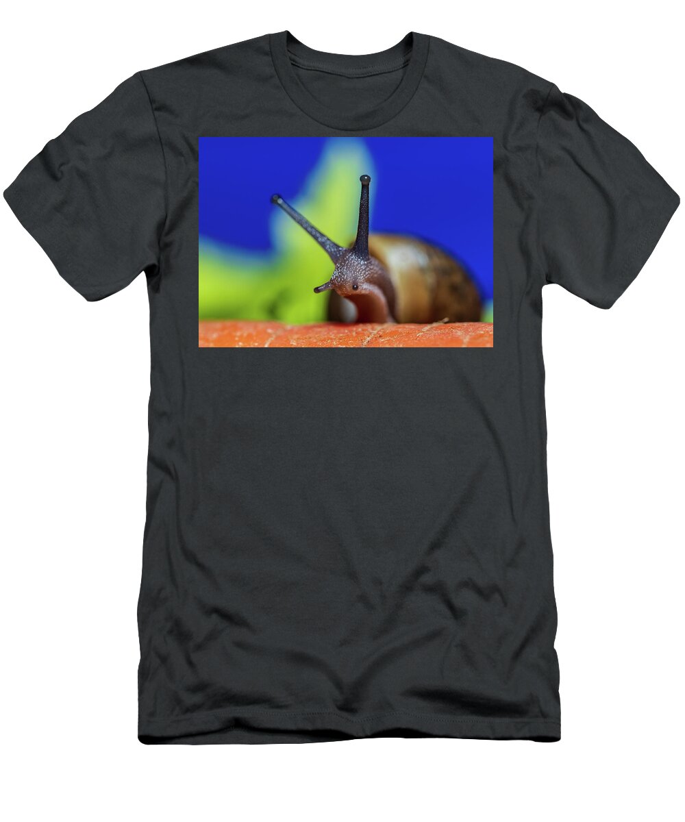Animals T-Shirt featuring the photograph Macro Photography - Snail by Amelia Pearn