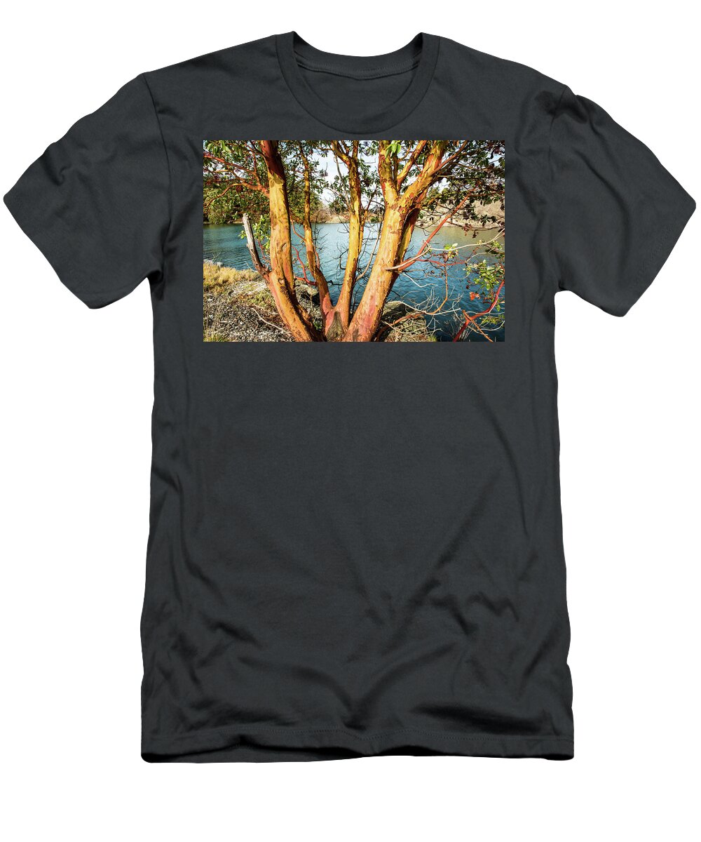 Madrona On Thompson Trail T-Shirt featuring the photograph Madrona on Thompson Trail by Tom Cochran