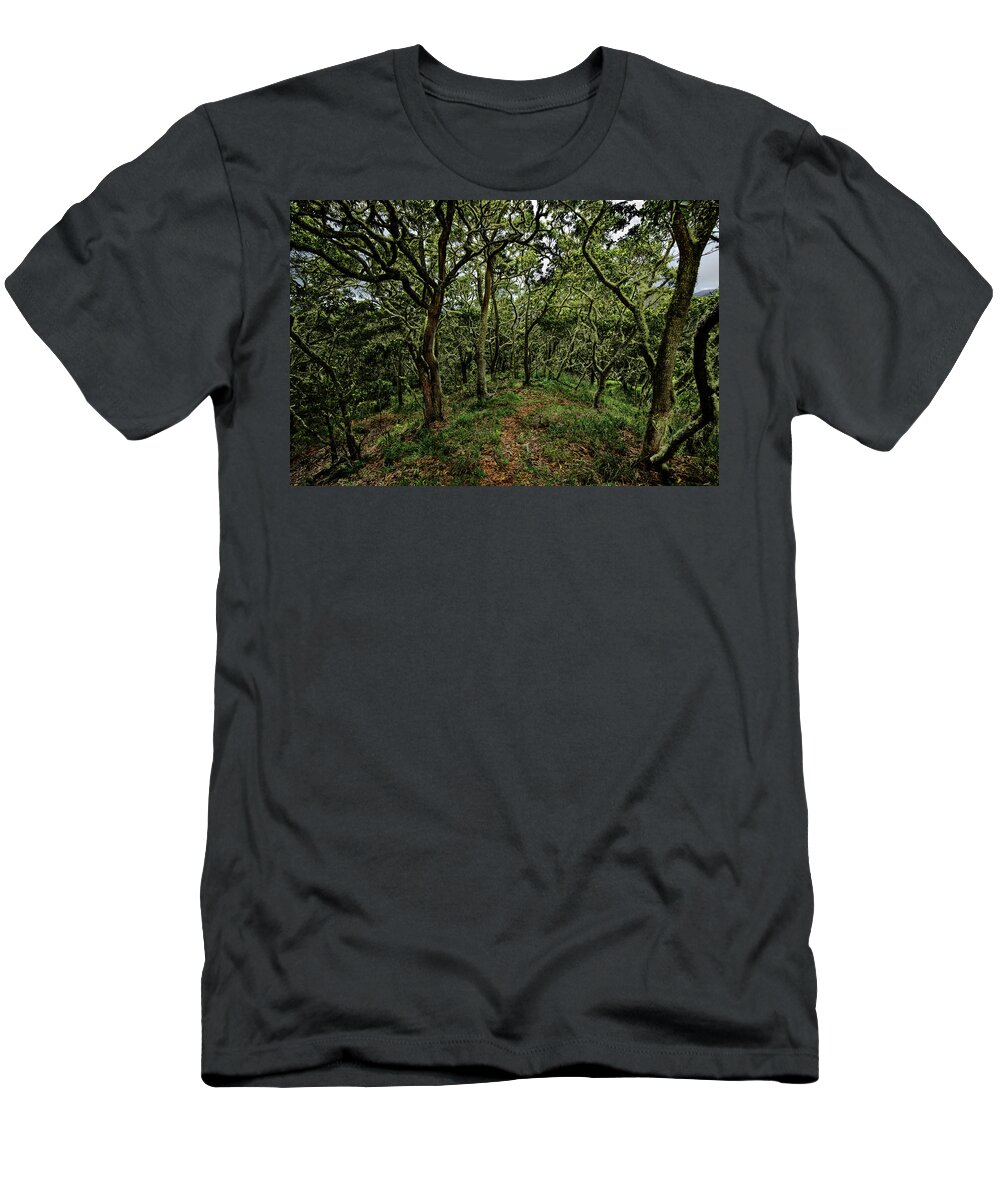 Koa Forest T-Shirt featuring the photograph Magical Koa Forest Kipuka by Heidi Fickinger