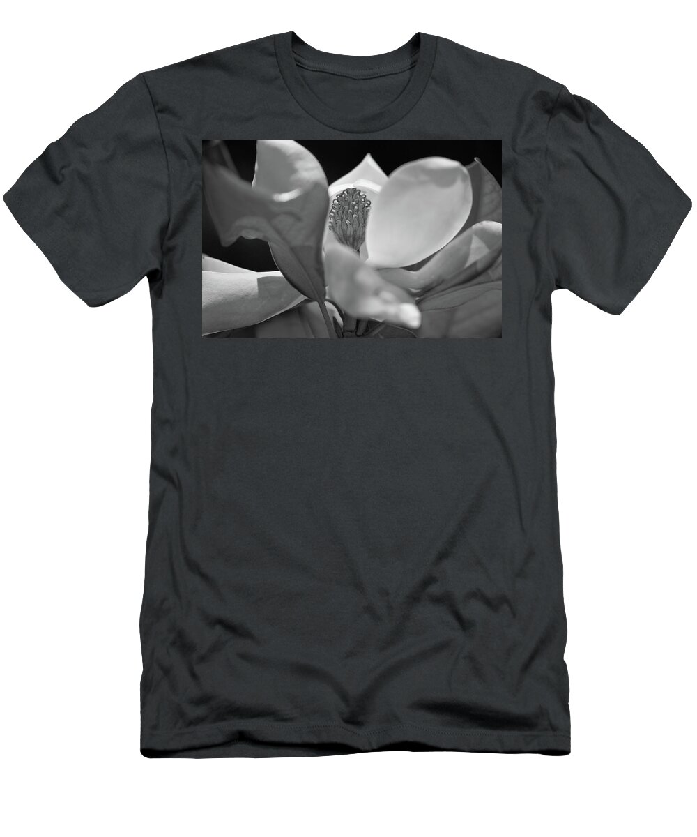 Cunningham T-Shirt featuring the photograph Magnolia by Matthew Bamberg