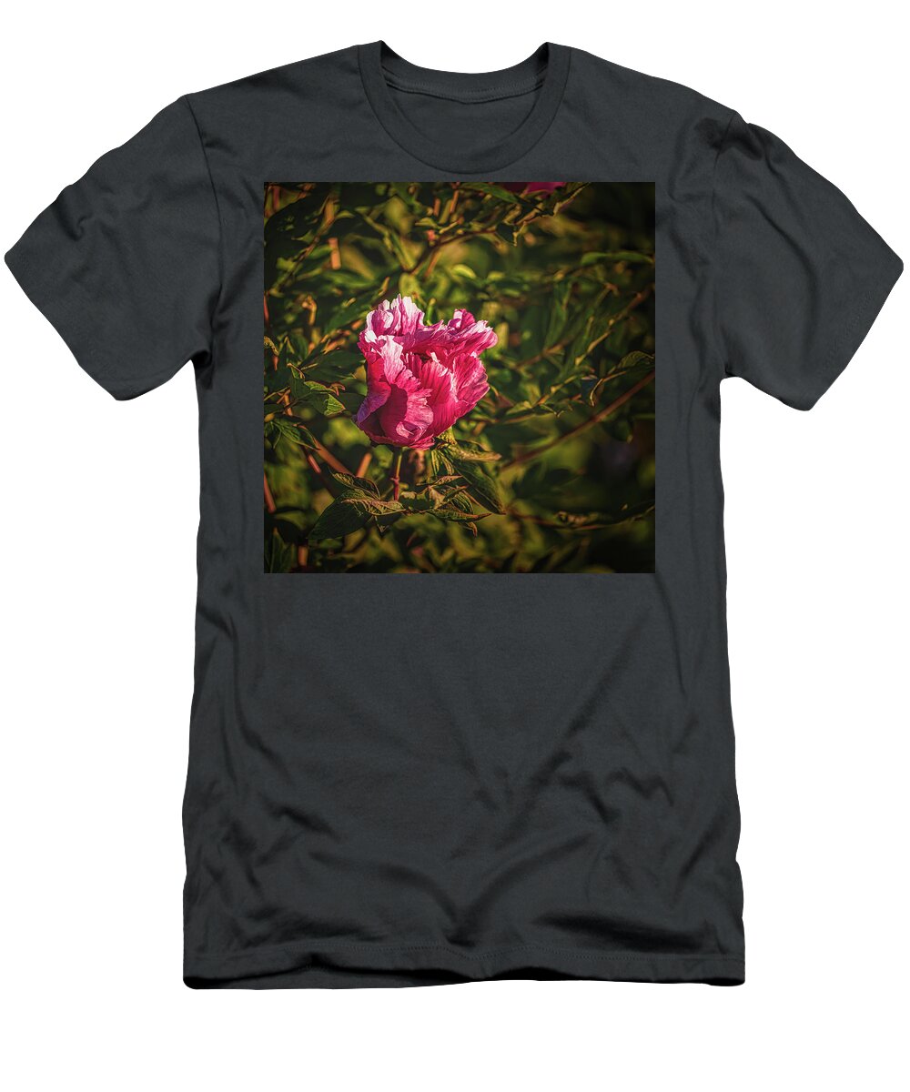 Magnolia Red T-Shirt featuring the photograph Magnolia red #l1 by Leif Sohlman