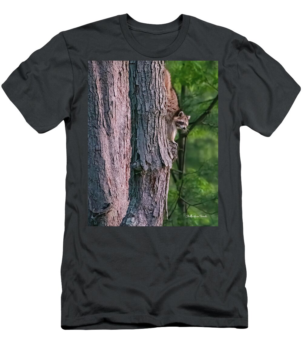 Racoon T-Shirt featuring the photograph Making a late night snack run by ChelleAnne Paradis