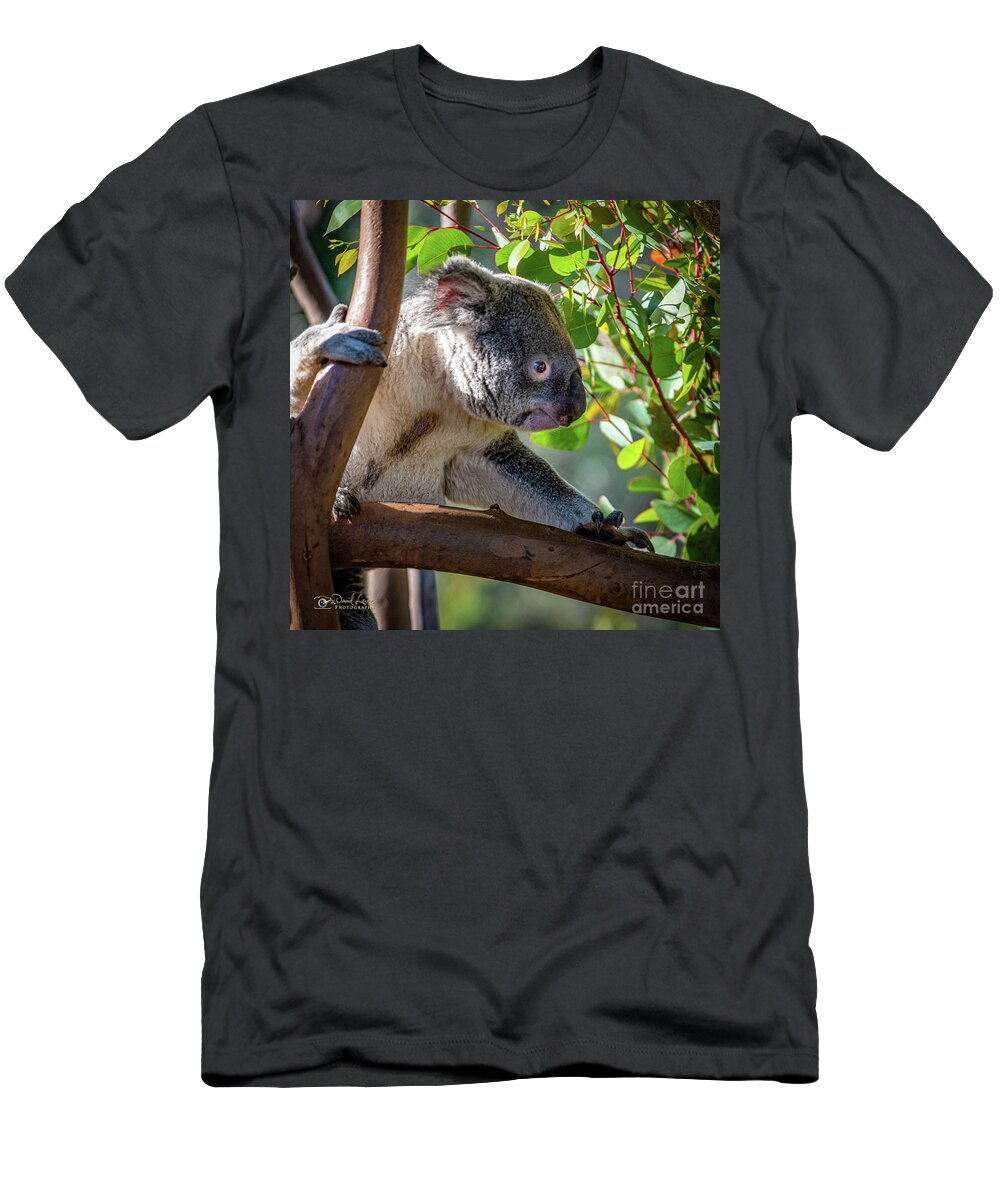 David Levin Photography T-Shirt featuring the photograph Making My Way to the Good Stuff by David Levin