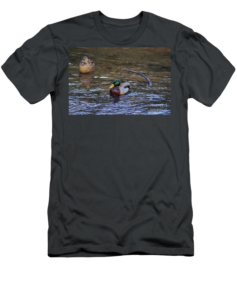 Mallard Duck T-Shirt featuring the photograph Male and female Mallard duck by Pics By Tony