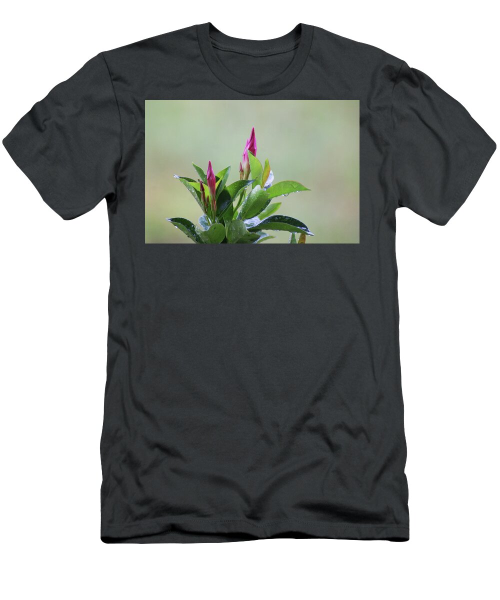  T-Shirt featuring the photograph Mandevilla Drops by Heather E Harman