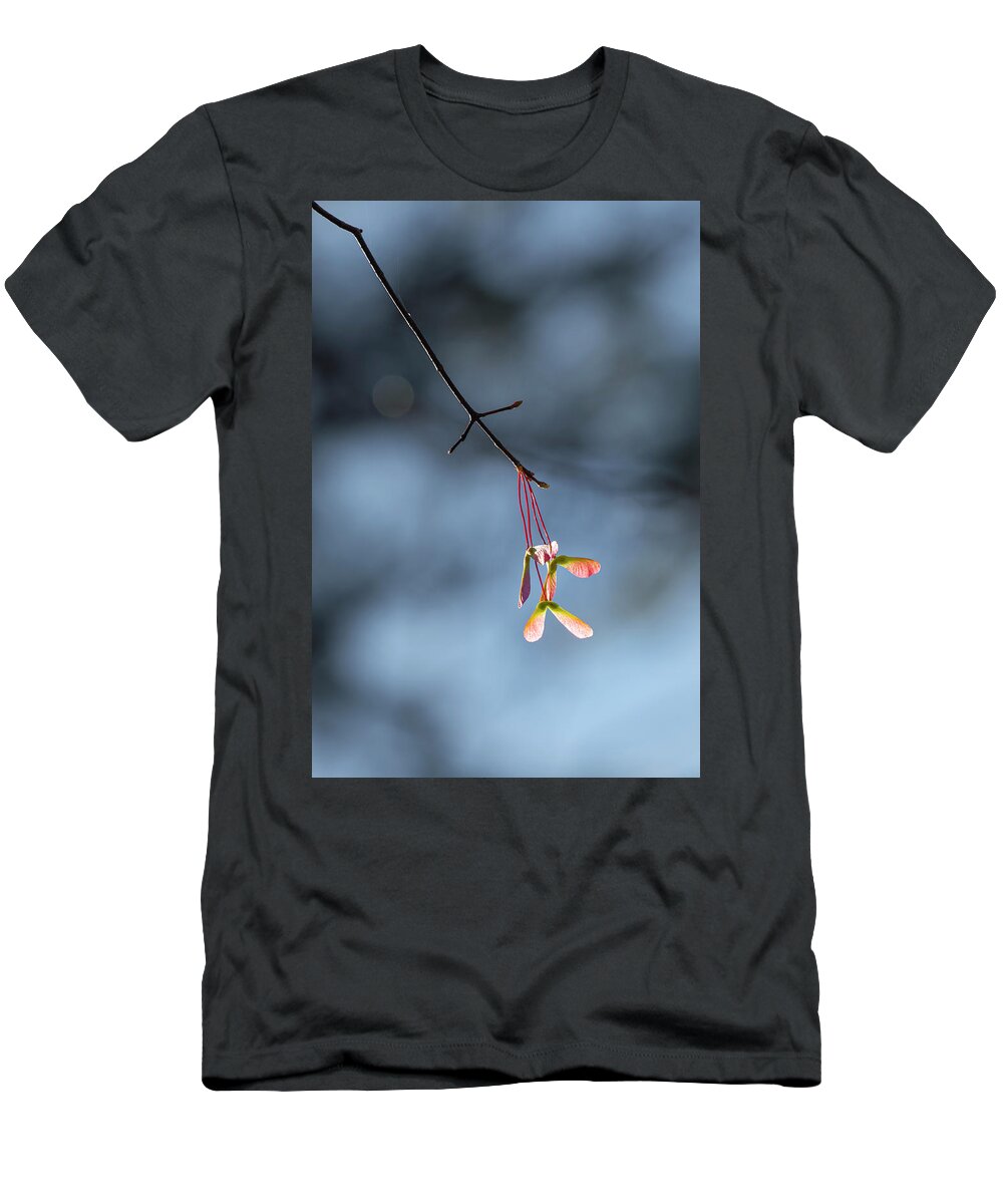 Maple T-Shirt featuring the photograph Maple Samara by Phil And Karen Rispin