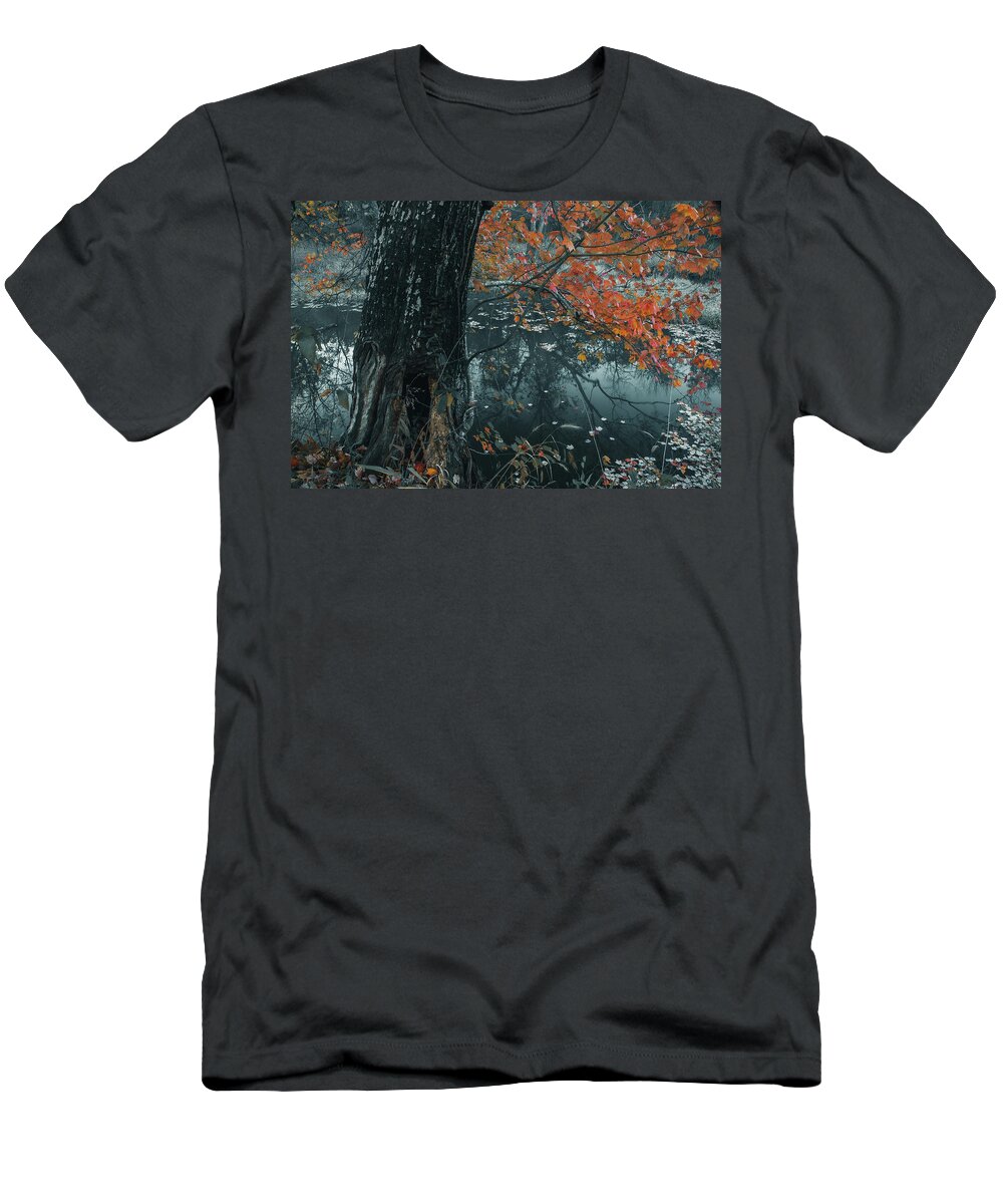 Maple Tree T-Shirt featuring the photograph Maple Tree by Iris Greenwell