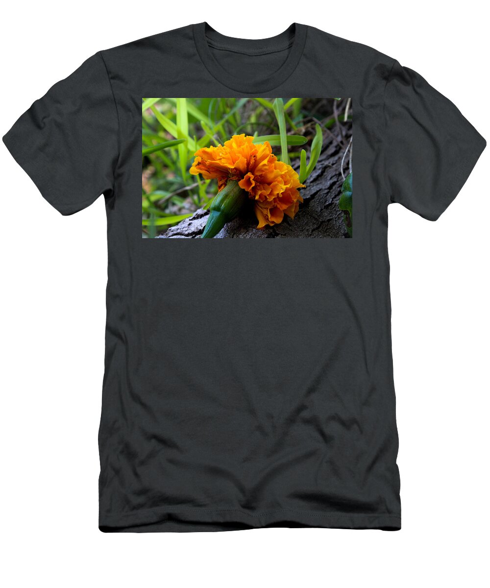 Marigold T-Shirt featuring the photograph Marigold on a Tree Root by W Craig Photography