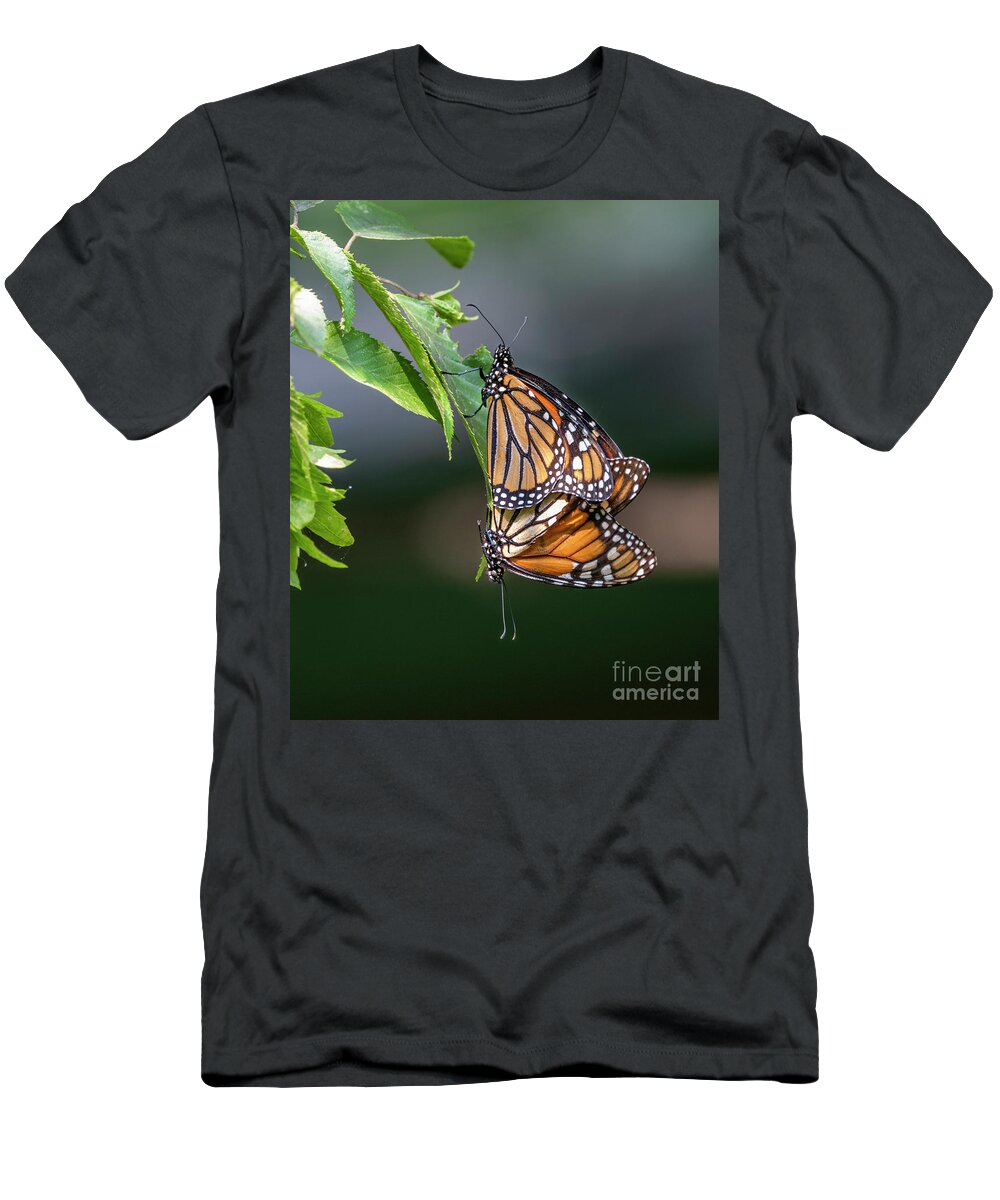 Monarch Butterfly T-Shirt featuring the photograph Mating Monarchs by Sandra Rust