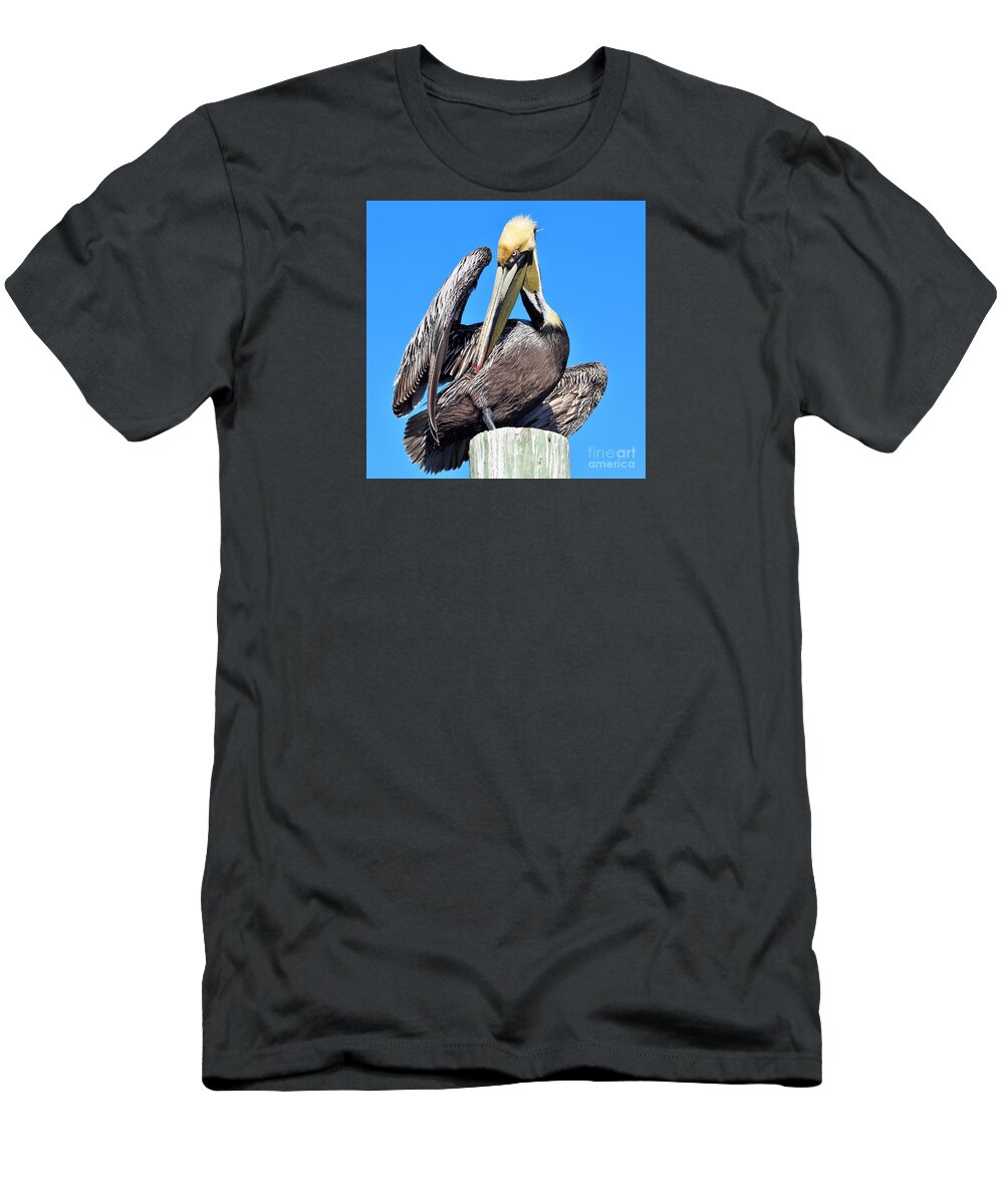 Pelican T-Shirt featuring the photograph Brown pelican sunning and preening by Joanne Carey