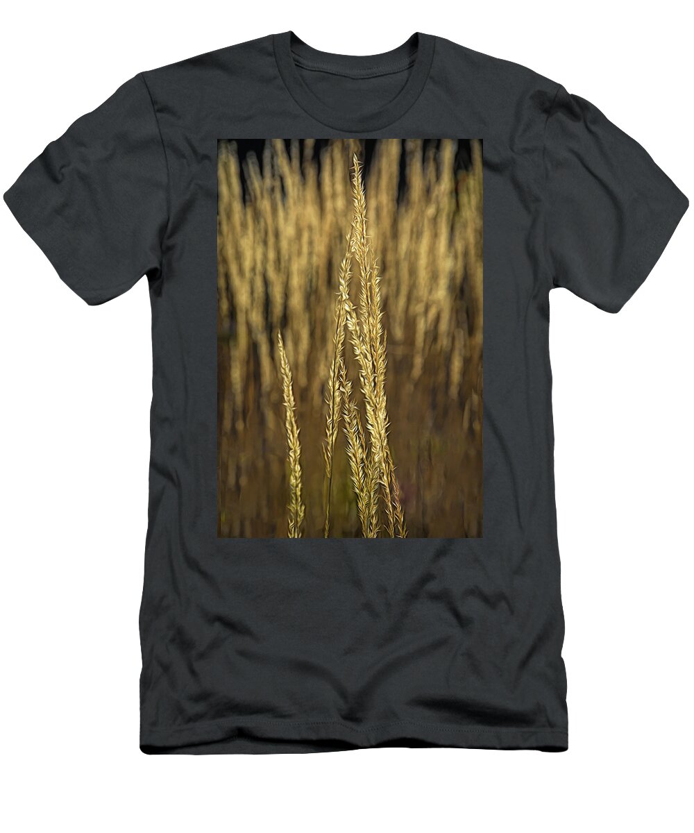 Grass T-Shirt featuring the photograph Meadow Grass And Sunlight by Mitch Spence