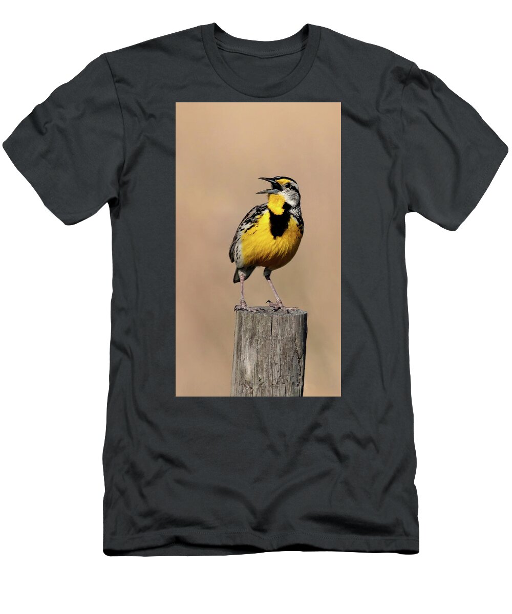 Meadowlark T-Shirt featuring the photograph Meadowlark Trilogy 3 by HH Photography of Florida