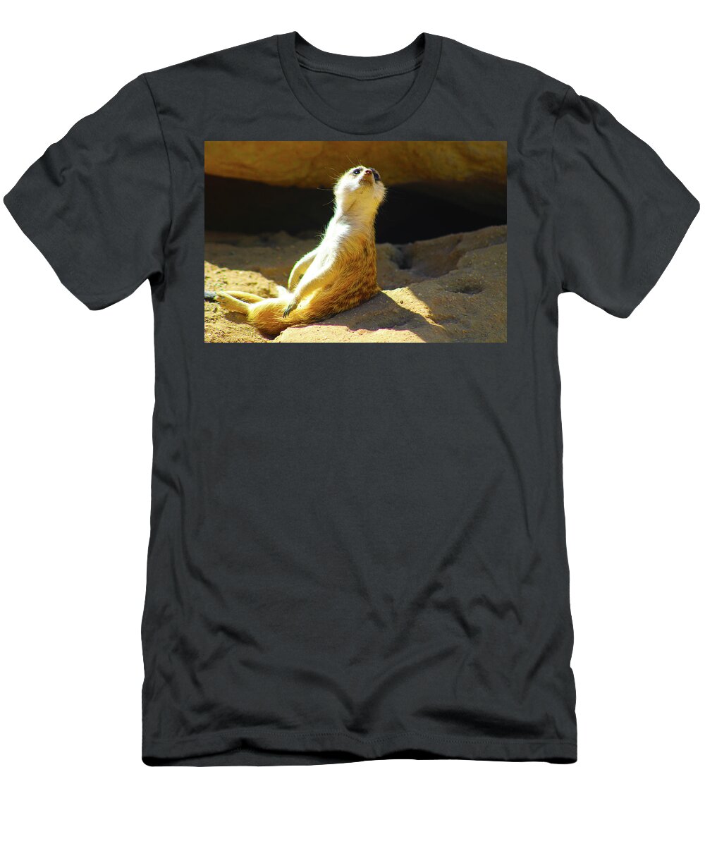 Animals T-Shirt featuring the photograph Meerkat Maddness by Marcus Jones