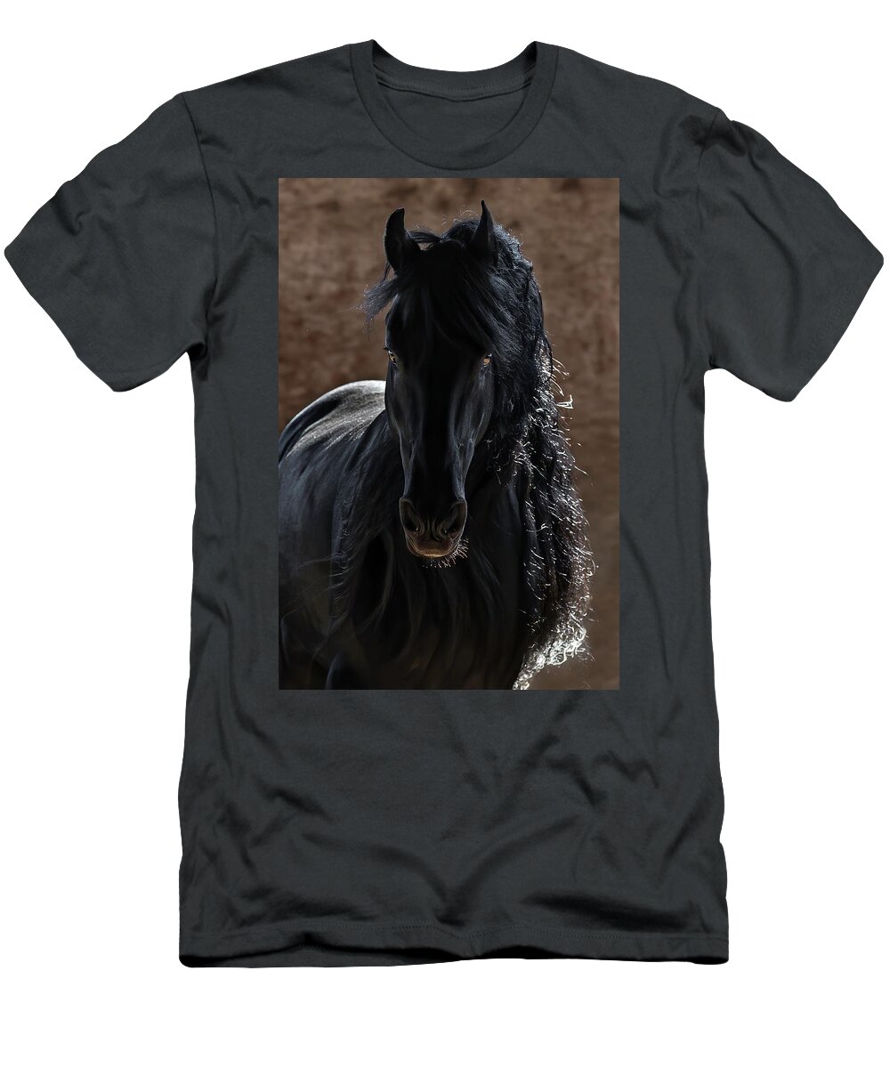 Midnight Magic T-Shirt featuring the photograph Midnight Magic by Wes and Dotty Weber