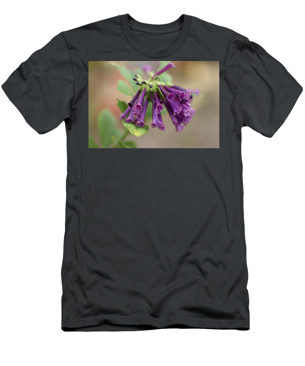 Trumpet Flower T-Shirt featuring the photograph Mini Trumpet Flowers by Mingming Jiang