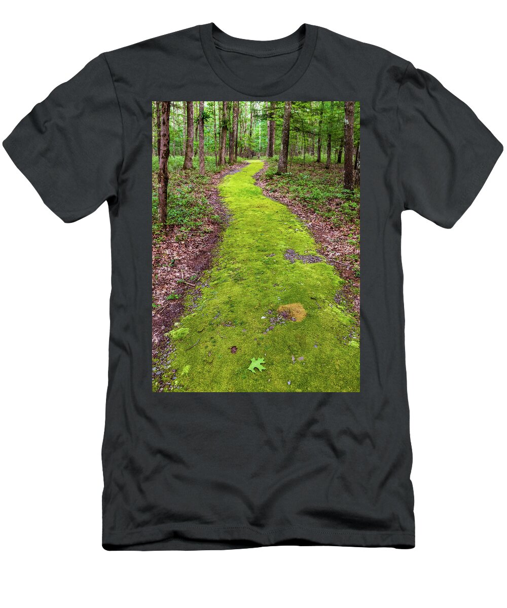 Trails T-Shirt featuring the photograph Minisink Battleground Park Trail by Amelia Pearn