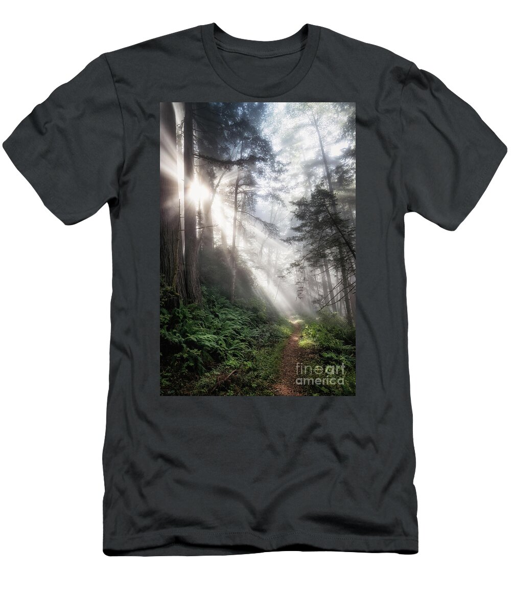 Alder T-Shirt featuring the photograph Mist On Last Chance Coastal Trail 4 by Al Andersen