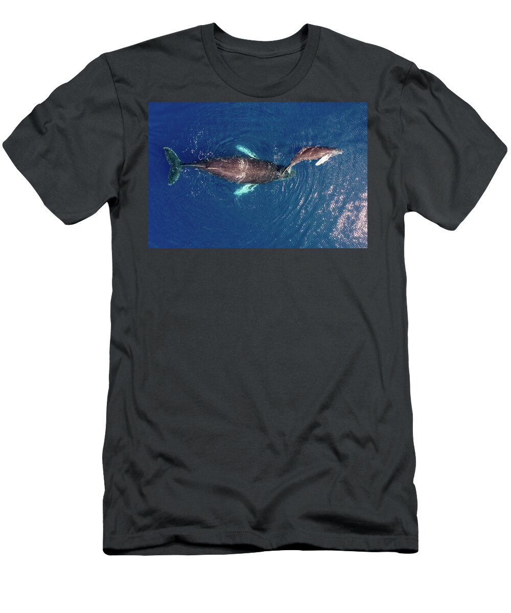 Humpback Whales T-Shirt featuring the photograph Mom and Baby Humpback Whales by Christopher Johnson
