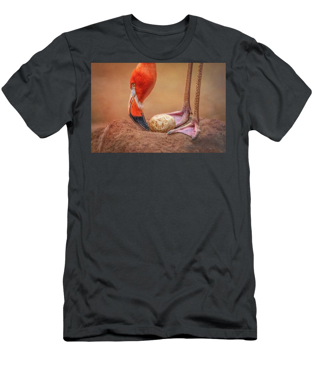 Aiken Sc T-Shirt featuring the photograph Mommy Flamingo Caring by Steve Rich