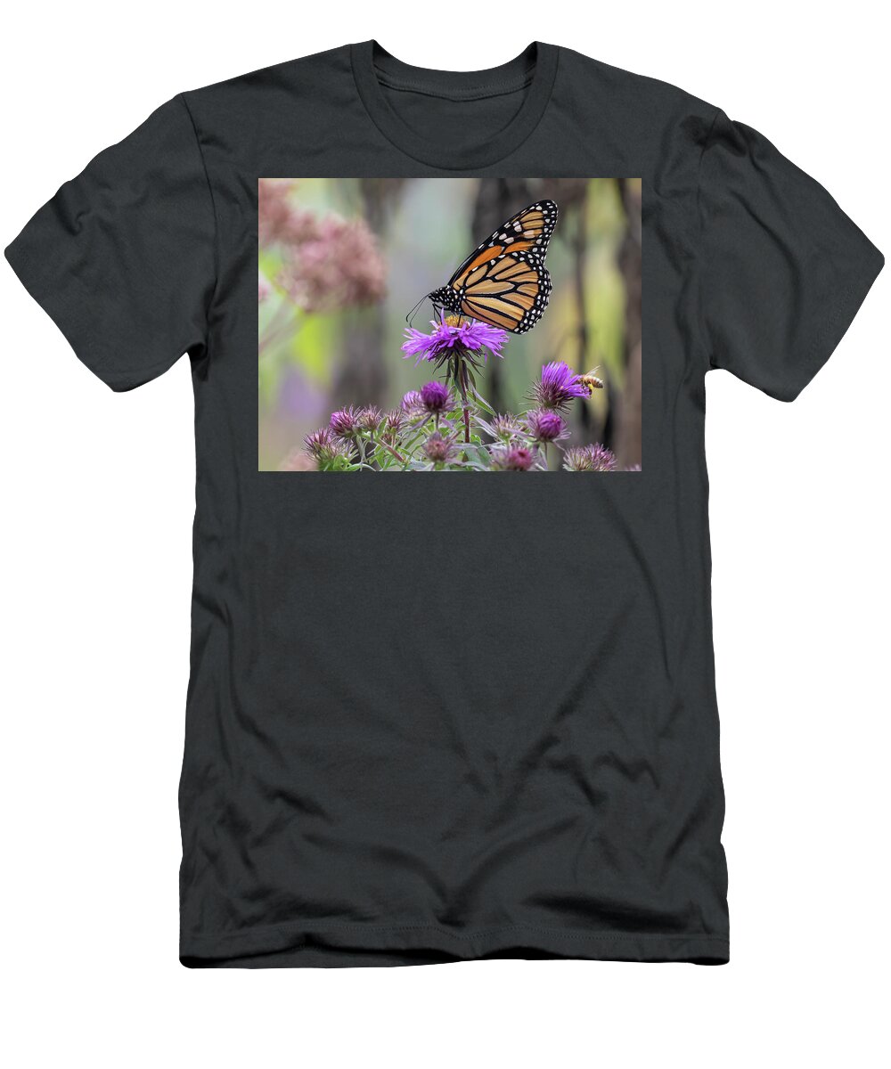 Monarch Butterfly T-Shirt featuring the photograph Monarch 2020-5 by Thomas Young