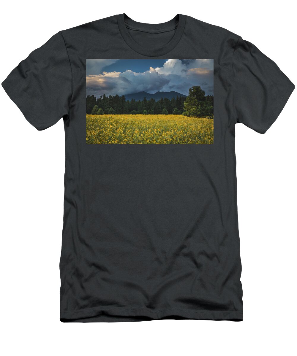 Sunflowers T-Shirt featuring the photograph Monsoons in Flagstaff by Ryan Lima