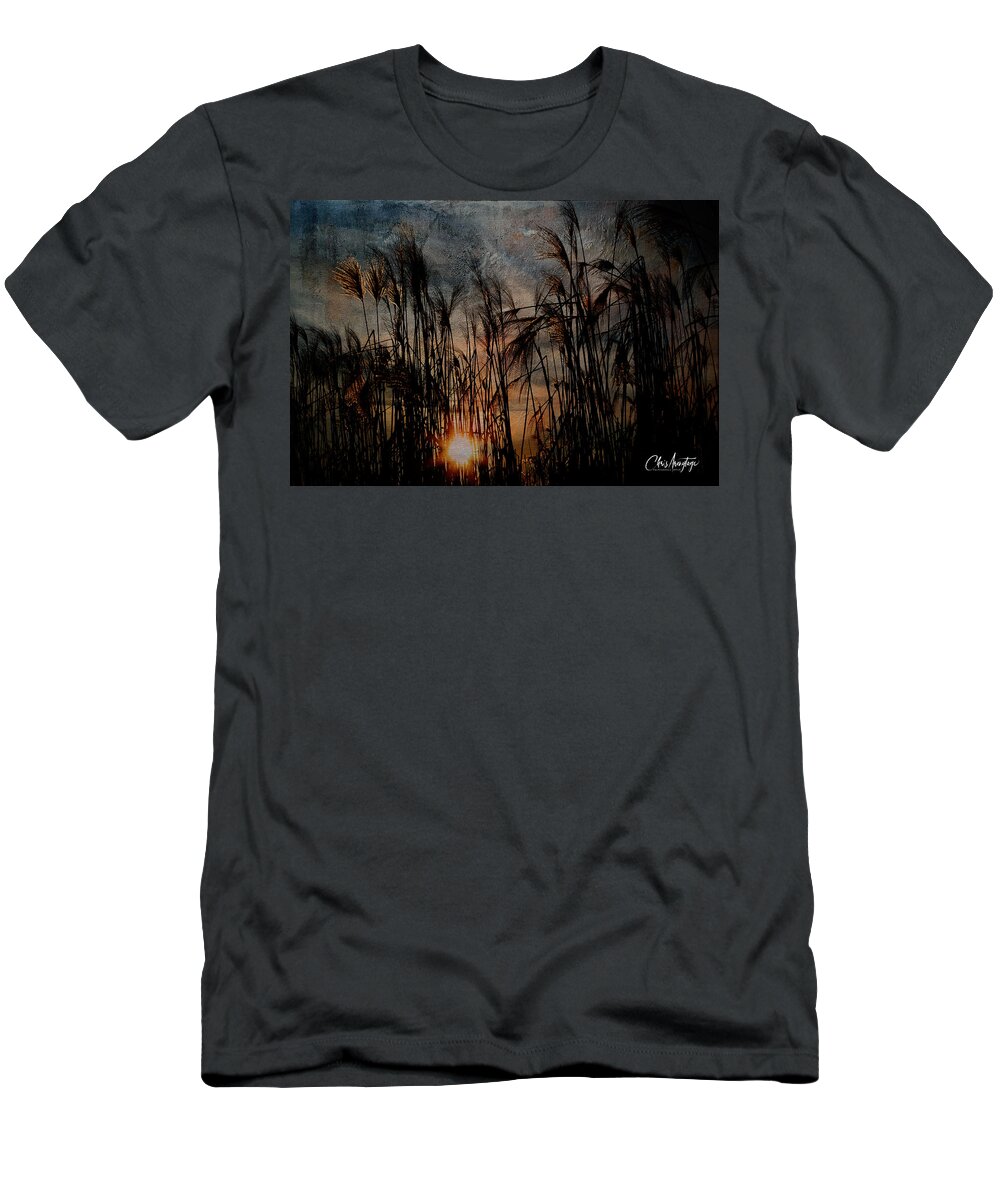 Dark Silhouetted Reeds T-Shirt featuring the digital art Moody Sunset on the Lake by Chris Armytage