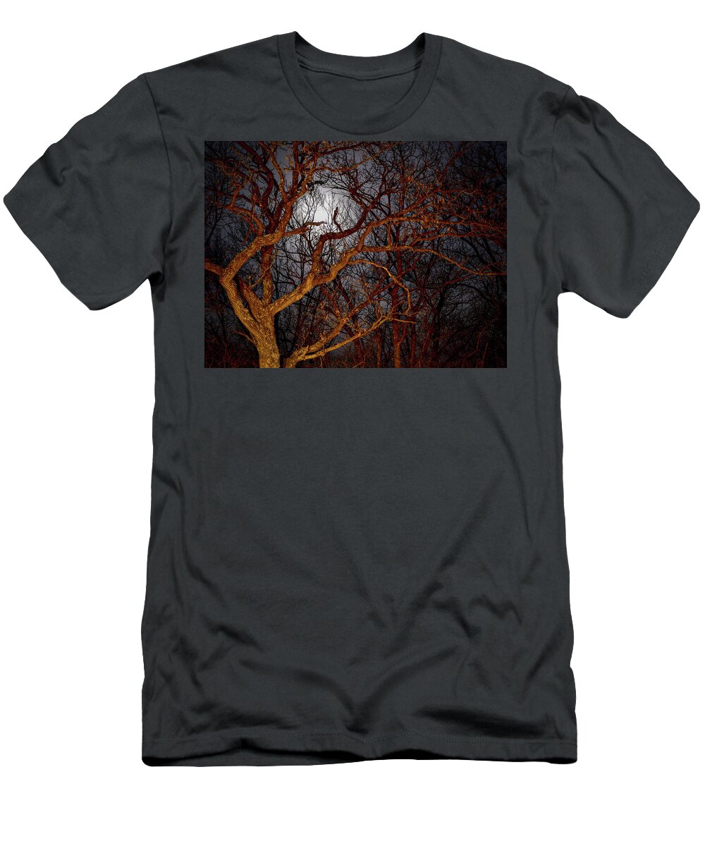 Full Moon T-Shirt featuring the photograph Moonshine by Susie Loechler