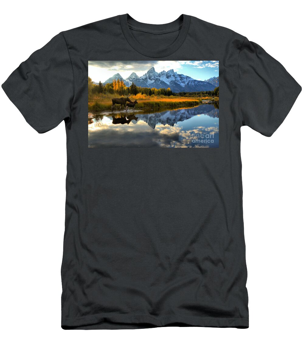 Grand T-Shirt featuring the photograph Moose Cow And Calf Evening Teton Stroll by Adam Jewell