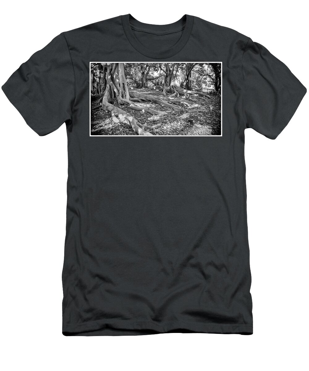 Horizontal T-Shirt featuring the photograph Moreton Bay Fig Trees by Mike-Hope by Mike-Hope