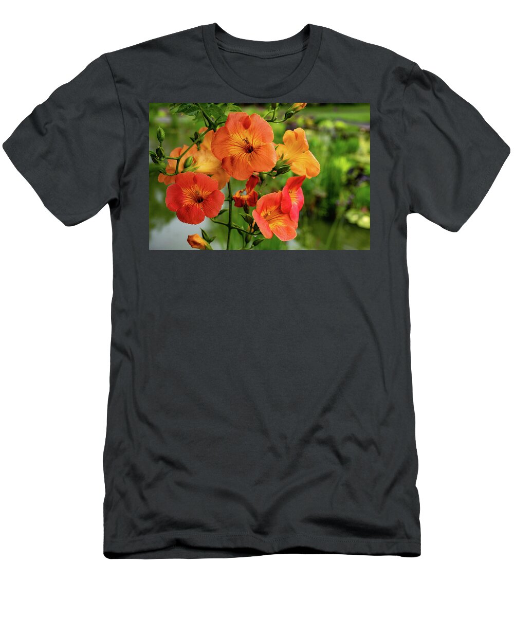 Campsis Grandiflora 'morning Calm' T-Shirt featuring the photograph Morning Calm by Kevin Suttlehan